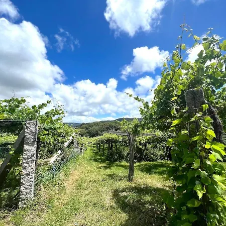Casa Con Vinedos, A 5min De La Playa Hébergement de vacances